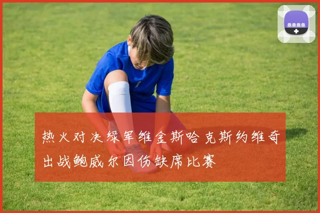 热火对决绿军维金斯哈克斯约维奇出战鲍威尔因伤缺席比赛